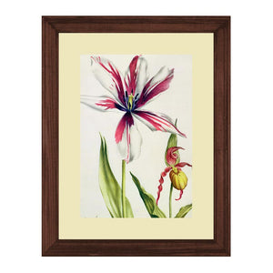 Set of 3 Floral Wall Art Hanging Frame For Wall Decor - DARSAAZ