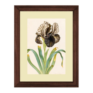 Set of 3 Floral Wall Art Hanging Frame For Wall Decor - DARSAAZ
