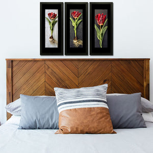 Set of 3 Red Rose Wall Art Hanging Frame For Wall Decor - DARSAAZ