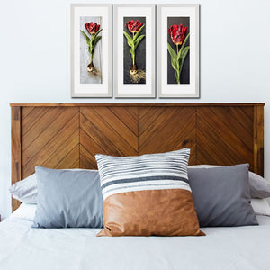 Set of 3 Red Rose Wall Art Hanging Frame For Wall Decor - DARSAAZ
