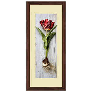 Set of 3 Red Rose Wall Art Hanging Frame For Wall Decor - DARSAAZ