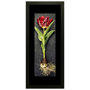 Set of 3 Red Rose Wall Art Hanging Frame For Wall Decor - DARSAAZ