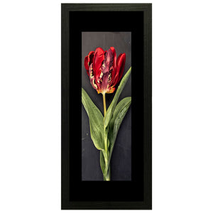 Set of 3 Red Rose Wall Art Hanging Frame For Wall Decor - DARSAAZ