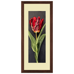 Set of 3 Red Rose Wall Art Hanging Frame For Wall Decor - DARSAAZ