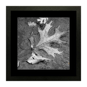 Set of 2 Rusty Leaves Wall Art Hanging Frame For Wall Decor - DARSAAZ
