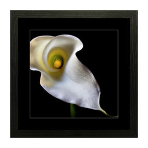 Set of 2 Calla Lily Flower Wall Art Hanging Frame For Wall Decor - DARSAAZ